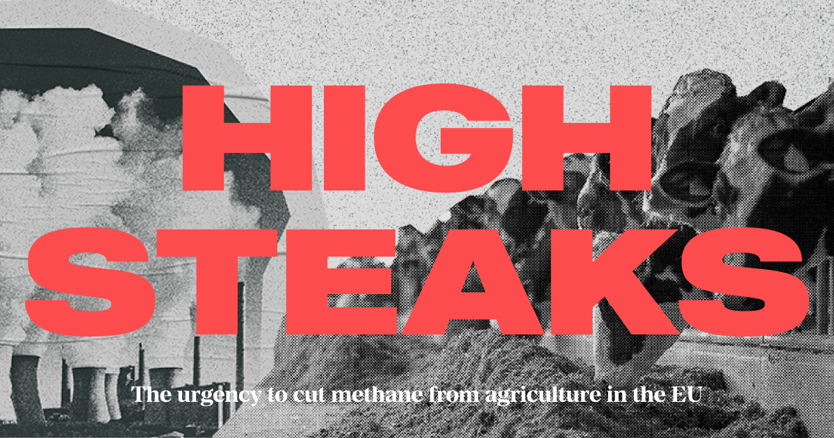 High Steaks - Nestlies